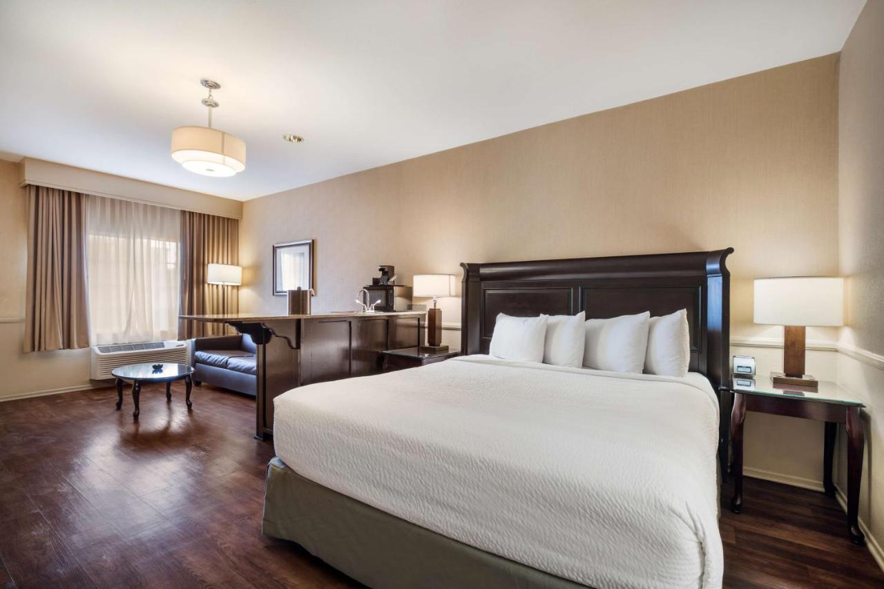 King Suite with Sofa Bed - Smoking