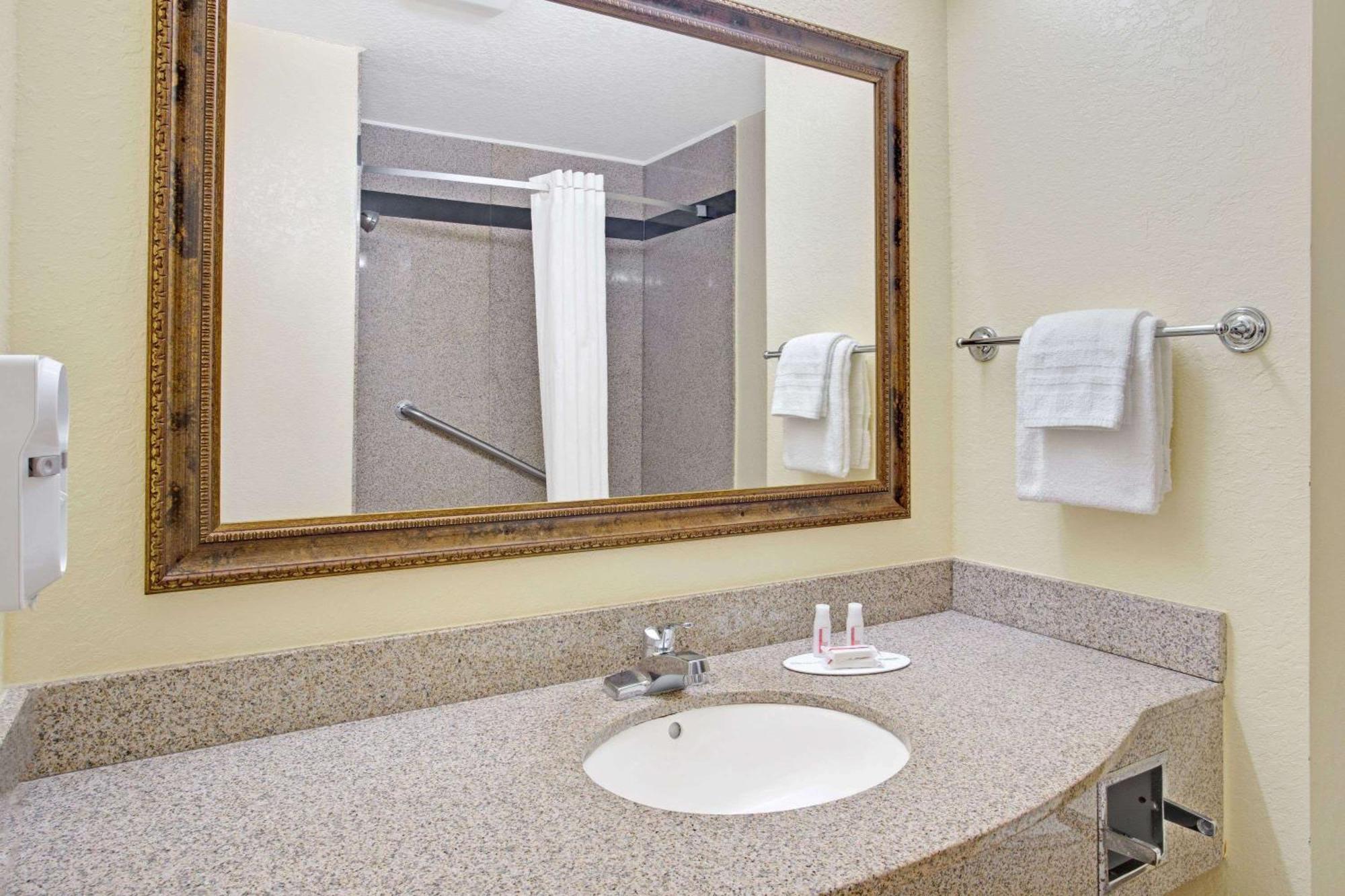 Queen Suite with Sofa Bed - Non-Smoking