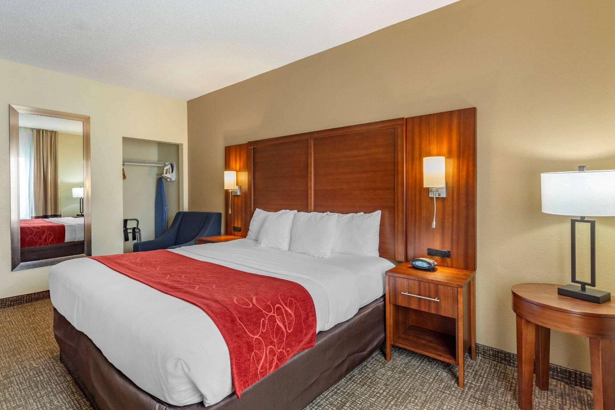 King Room with Roll-In Shower - Accessible/Non-Smoking