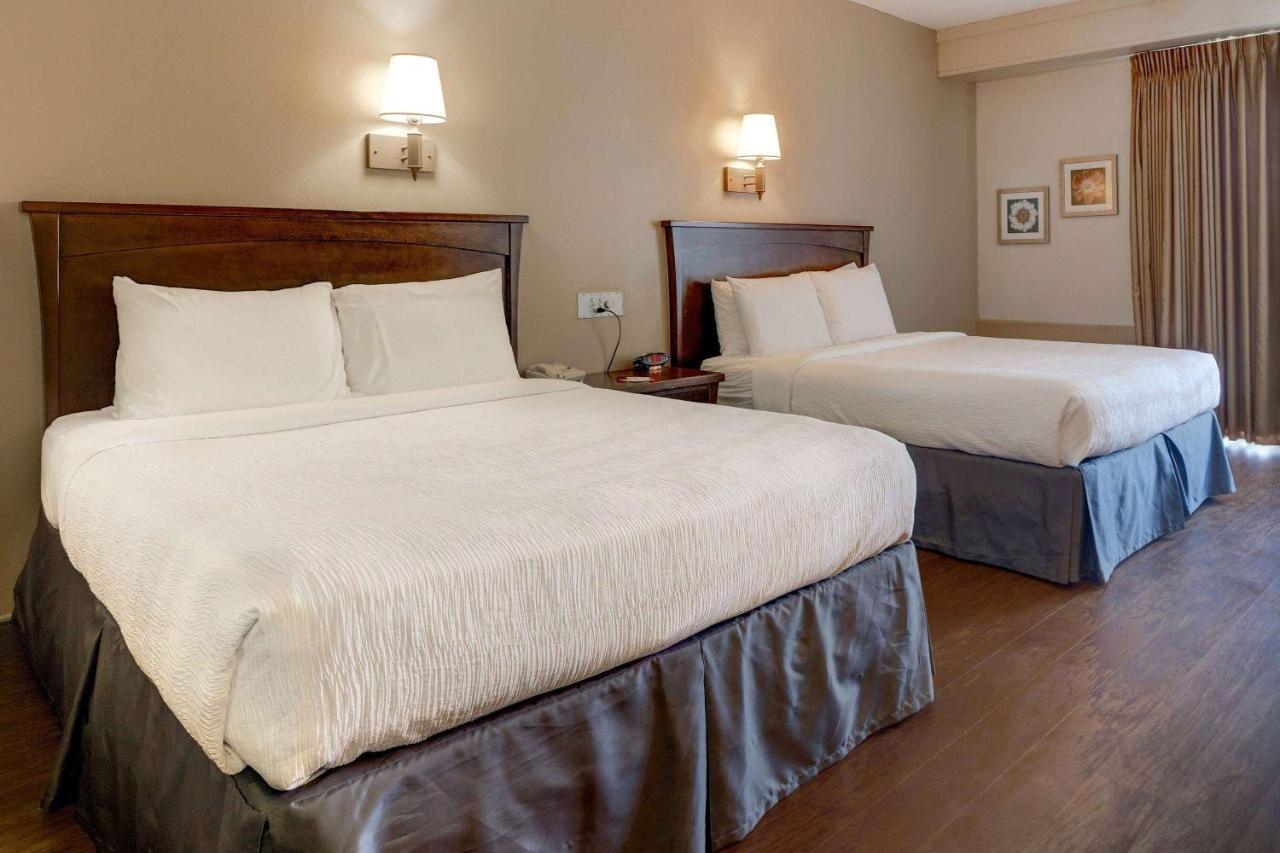 Queen Room with Two Queen Beds