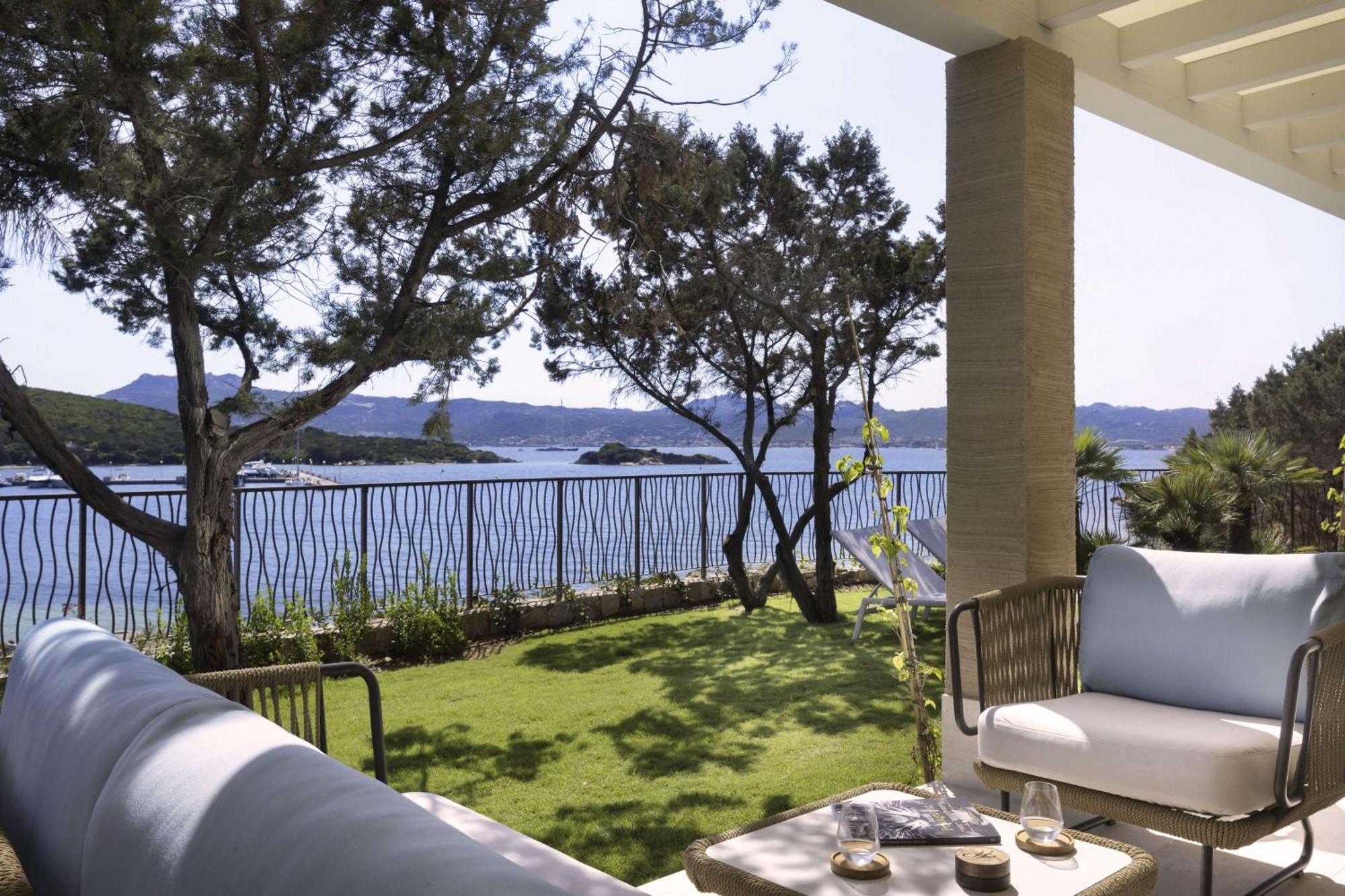 Suite Playera