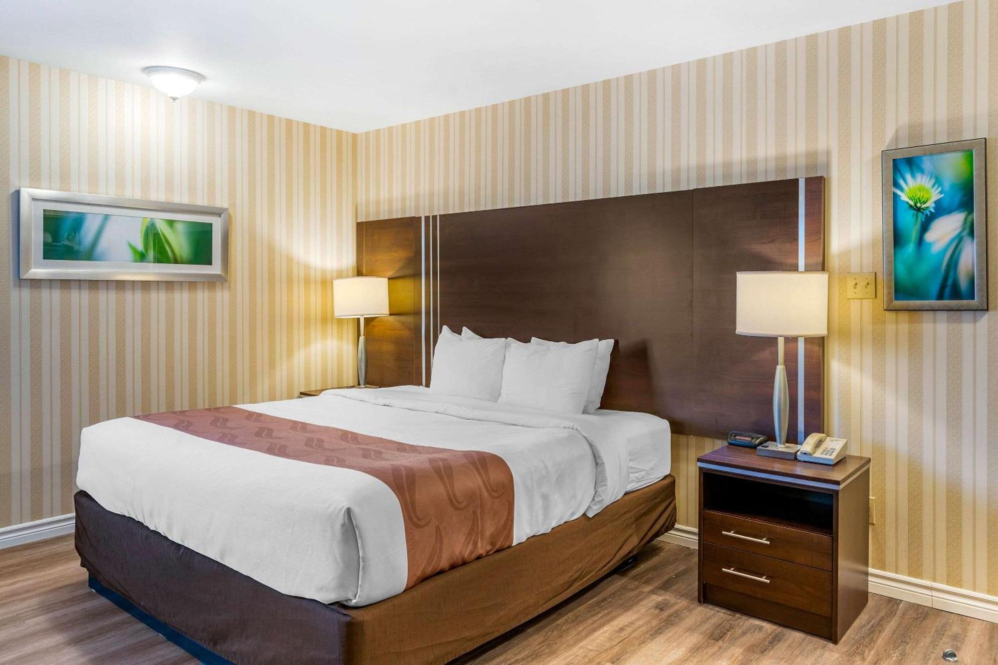 Chambre Lit King-Size - Non-Fumeurs