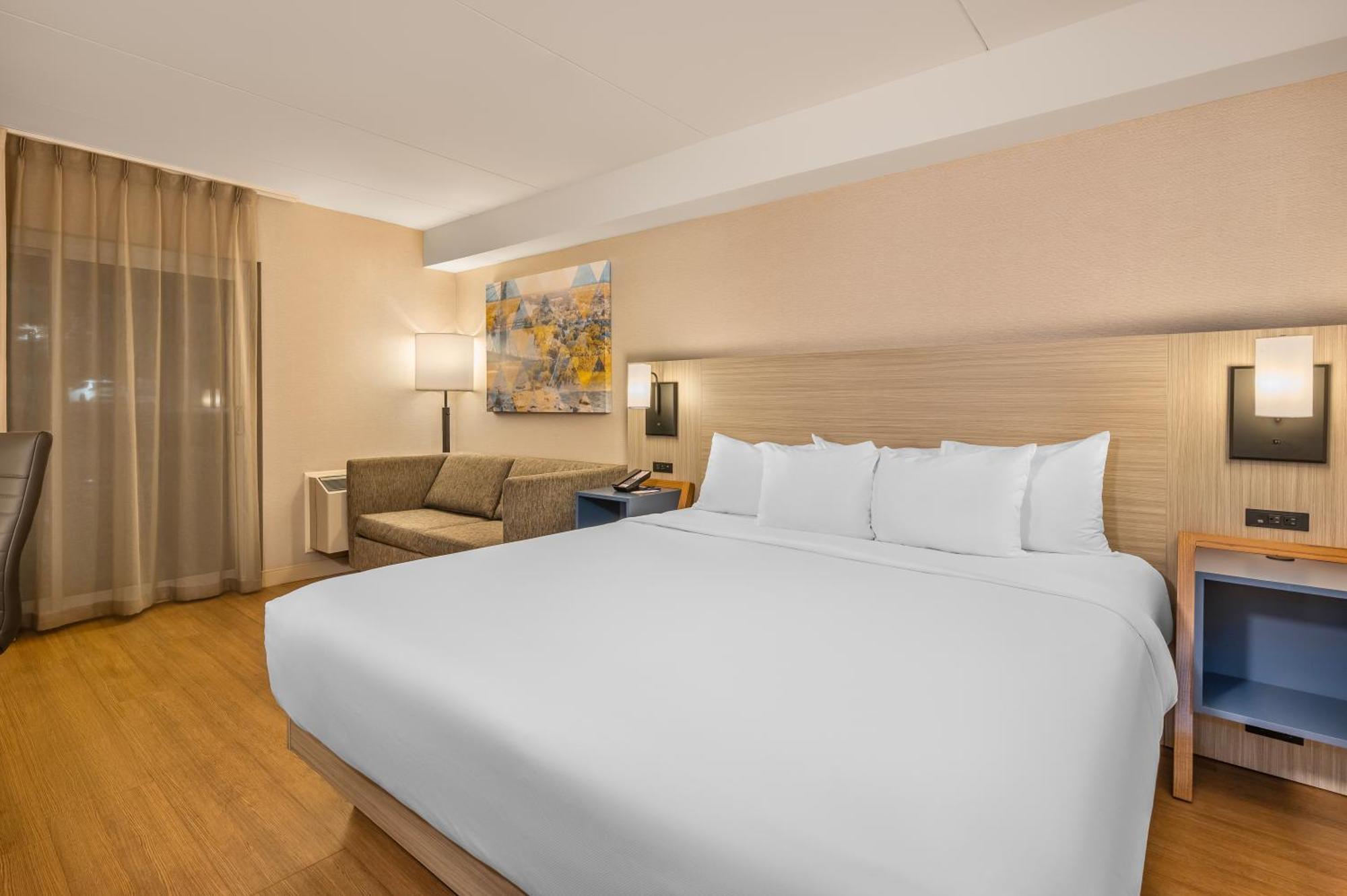 Superior King Room - Non-Smoking - Pet Friendly