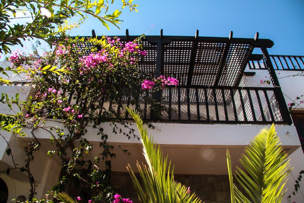Apartment with Garden View - Split Level,705481000:JPEG