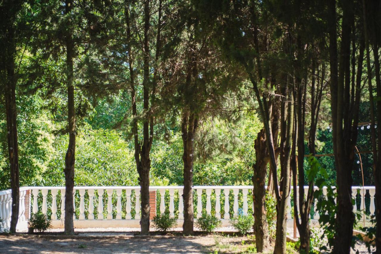 Suite Junior - Vue sur Jardin