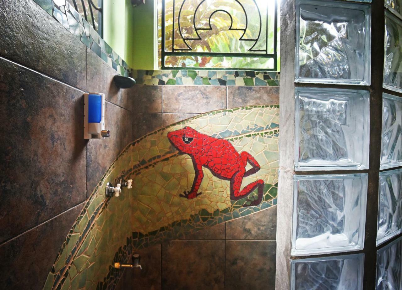 Red Frog Tropical Suite