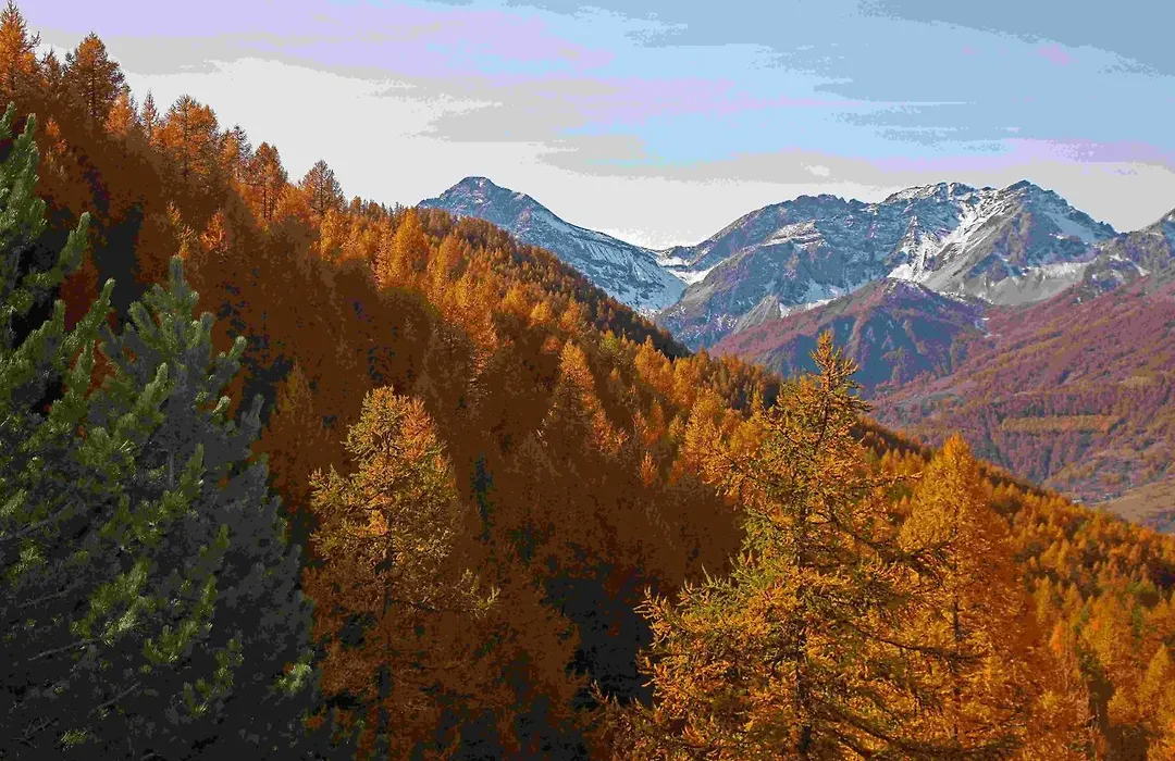 Hotel Chalet Il Capricorno-1