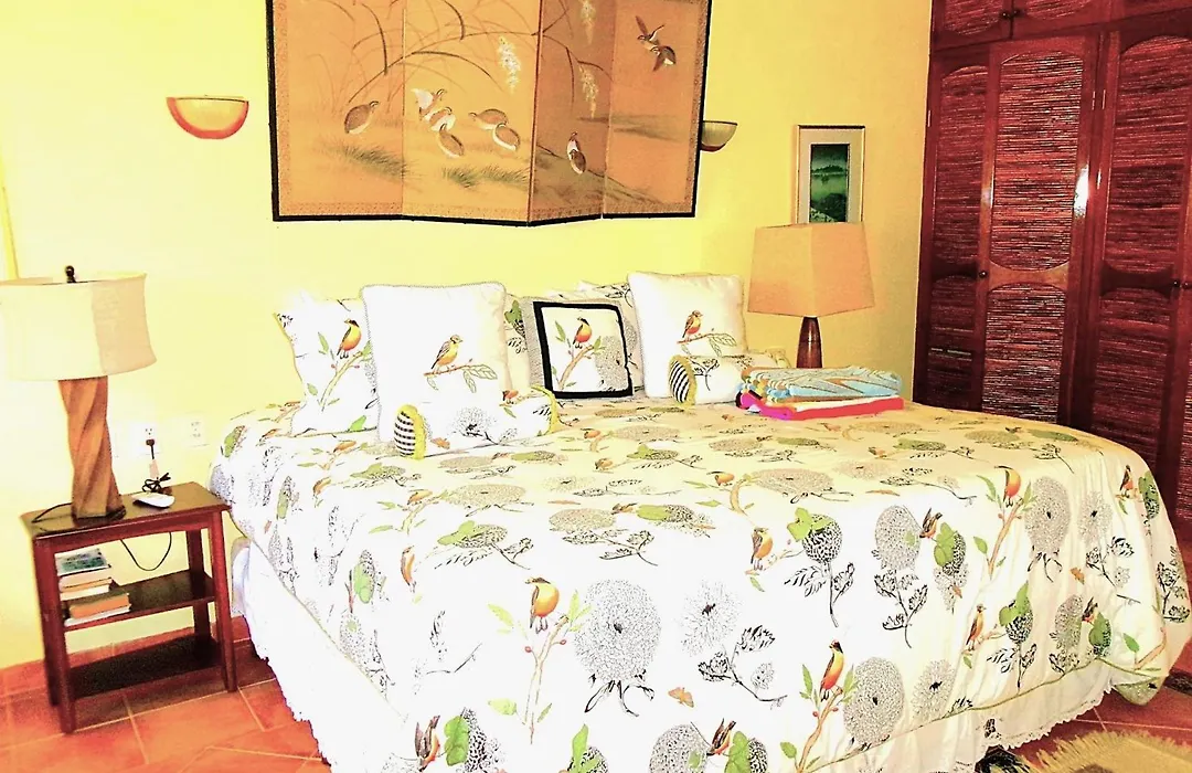 Casa Gatos-1