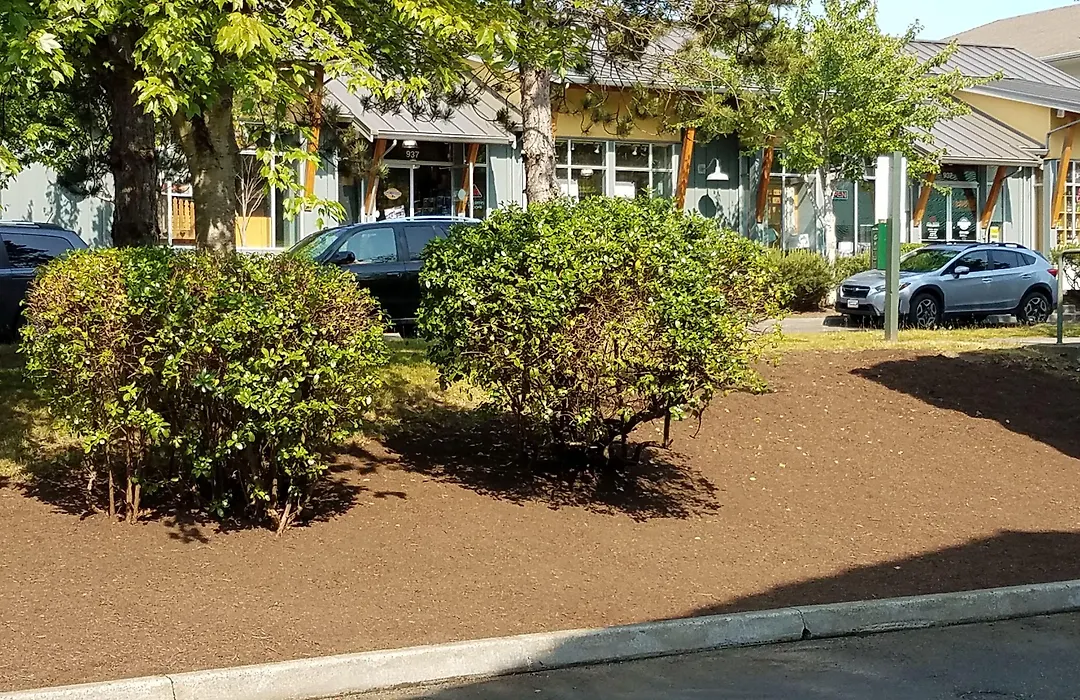 Quality Inn & Suites Bainbridge Island-1