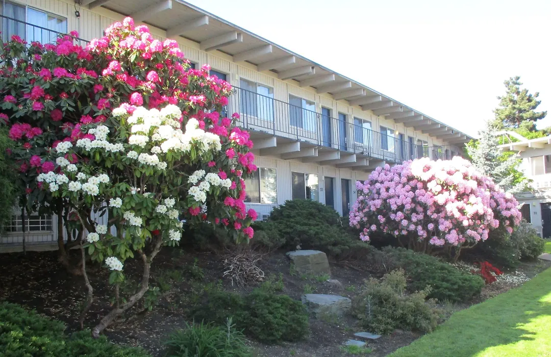Cocusa Motel-1