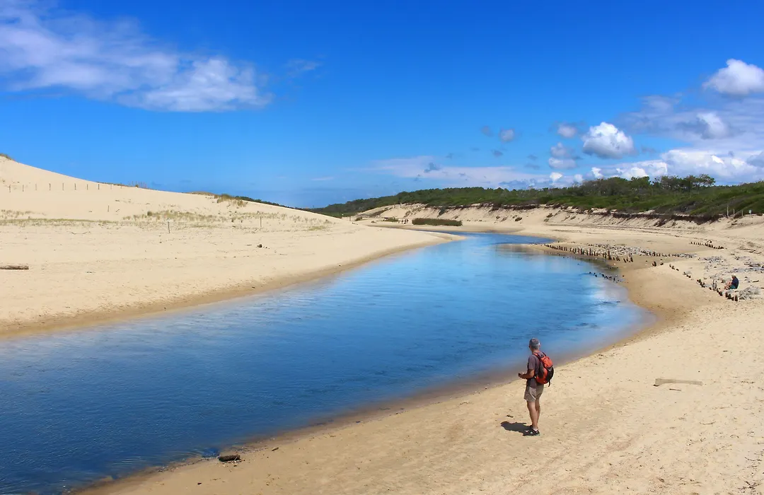 Vvf Landes Moliets-1