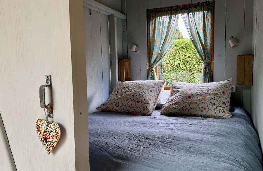 In de Aap - Appartementen&Guesthouse-1