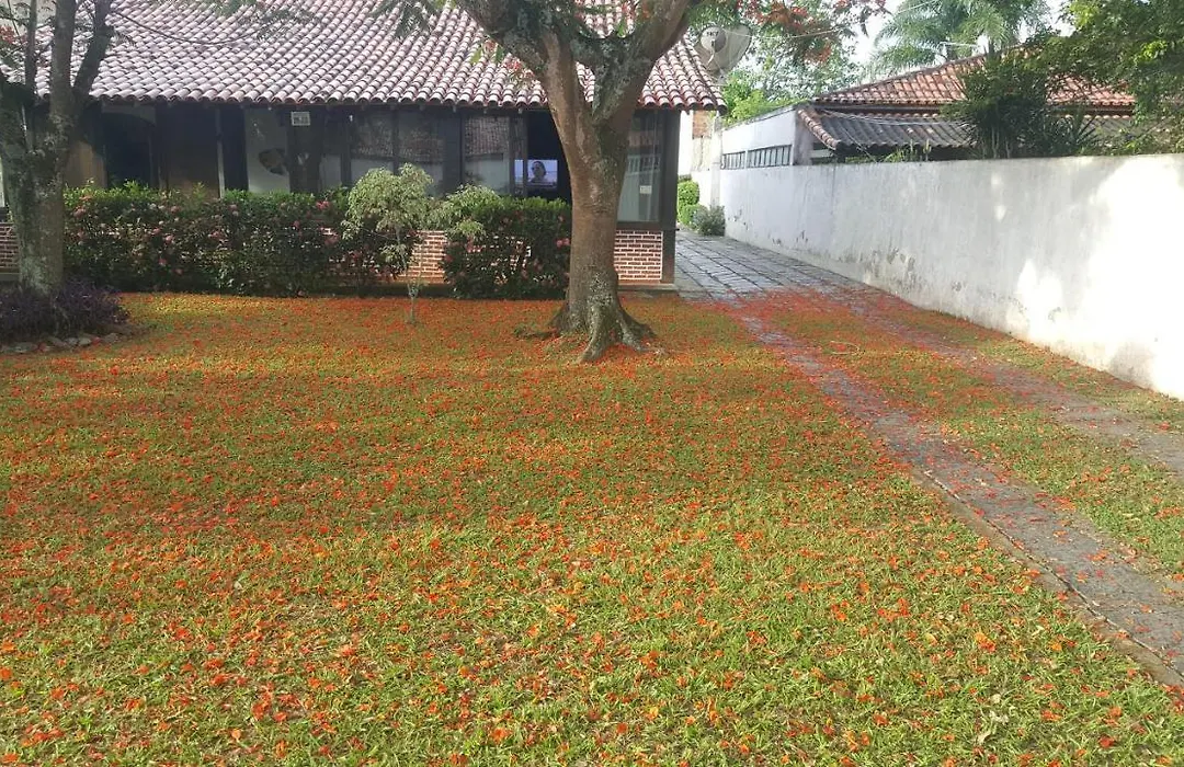 Pousada Solar Tropical-1