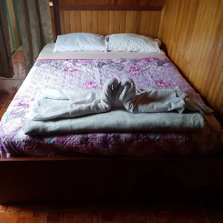 Hostel Monteverde Backpackers-2