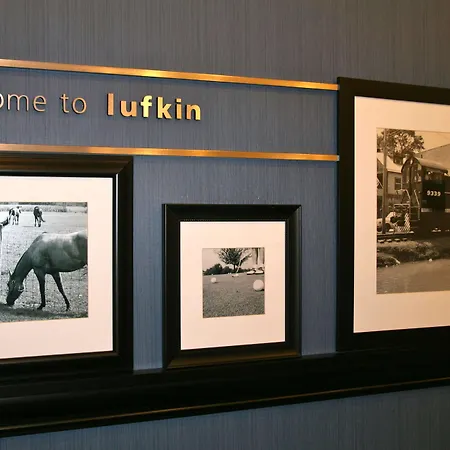 Hampton Inn And Suites Lufkin-3