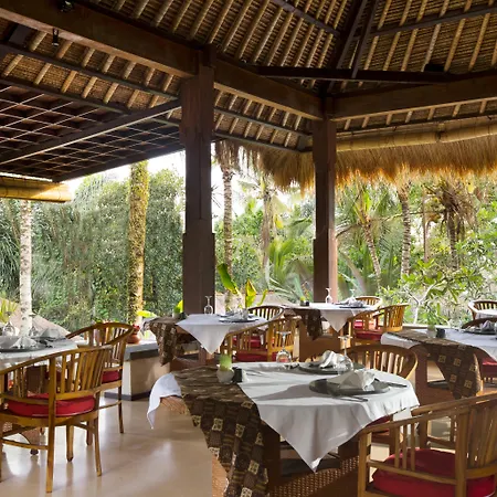 Nandini Jungle by Hanging Gardens-3