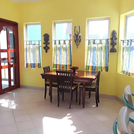Casa Gatos-2