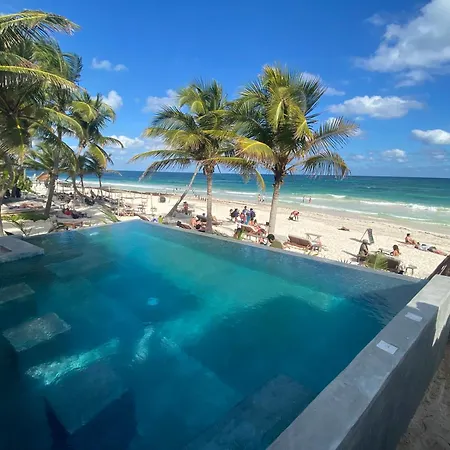 Delek Tulum-2