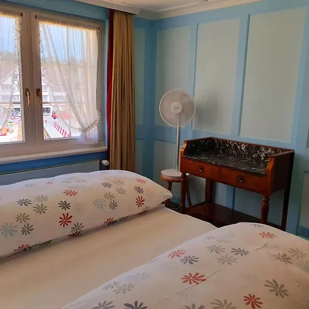 Adler Hotel-2