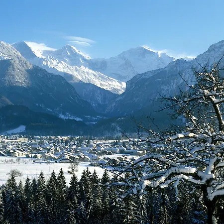 Jungfrau Hotel-3