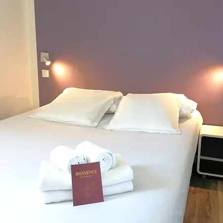 Hôtel Némo - Aéroport de Pau-3
