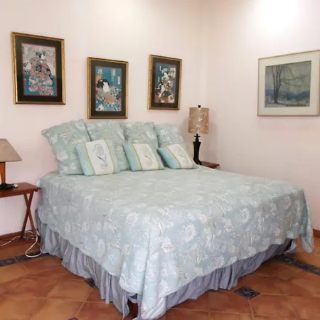 Casa Gatos-3