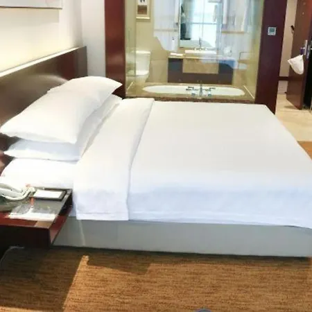 Dingye New Century Hotel Nanjing-3