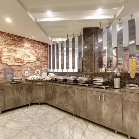 Hotel Almati Inn Near Delhi Igi Airport - With Free Airport Pickup-2
