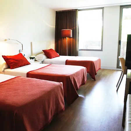 Magnolia Hotel - Adults Only-3