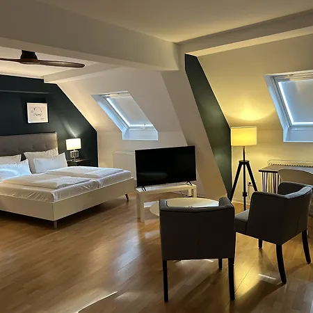 Dk Hotel Heidelberg-2