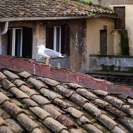 Casa De' Fiori-2