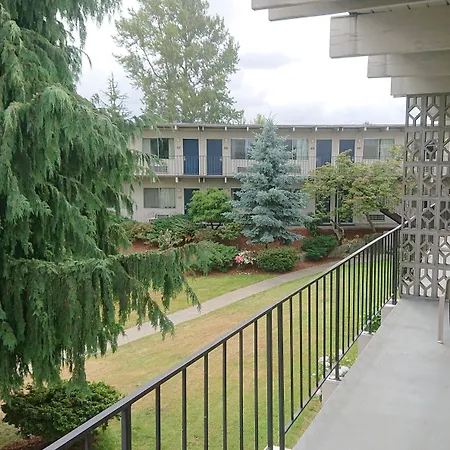 Cocusa Motel-2