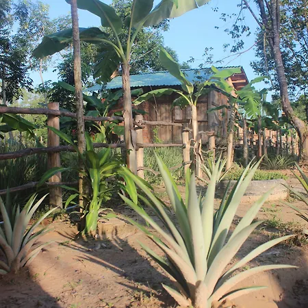 Pepper Farm Phu Quoc-2