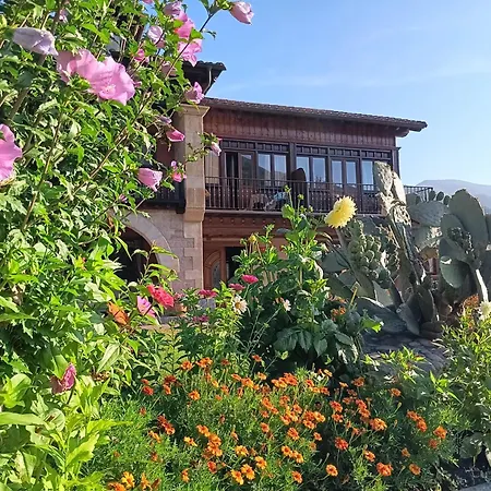 Hotel Finca Malvasia - Adults Only-3