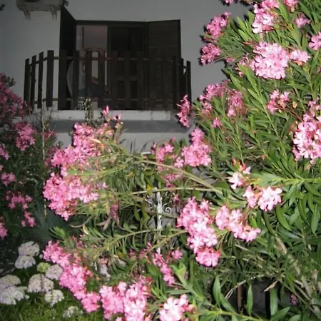 Residencial Morgado-2