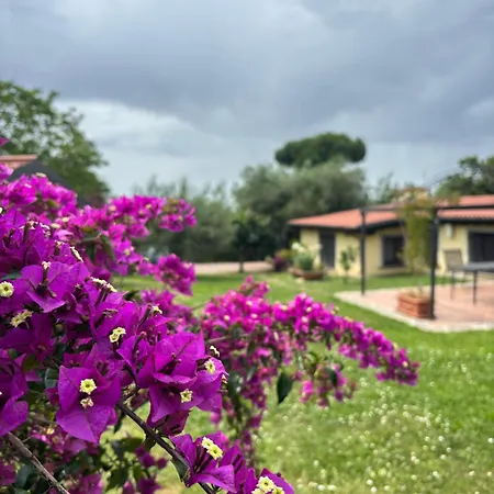 B&B Ai Glicini - Castelli Romani-3