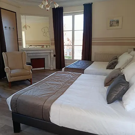 Logis Hotels Restaurants- Villa Des Bordes-2