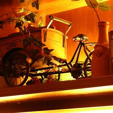 Hotel Schere-2