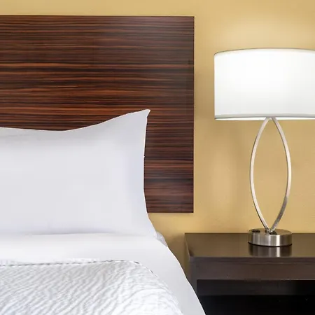 Garner Hotel Houston - Westchase-3