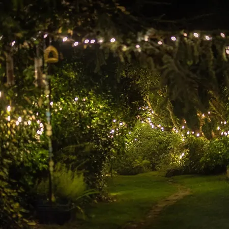 Ward Avenue B&B-3