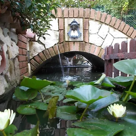 B&B Il Giardino Acquatico-2