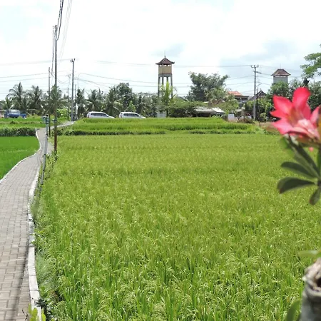Nick'S Hidden Cottages Ubud By Mahaputra-3