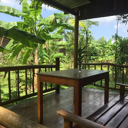 Pepper Farm Phu Quoc-3