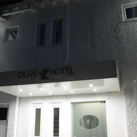 Olive Luxury Rooms-2