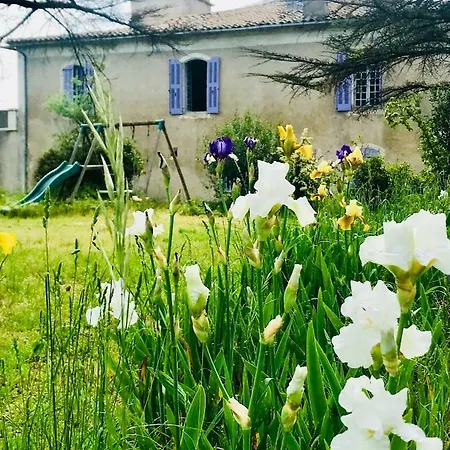 Domaine Mas Pigné-3