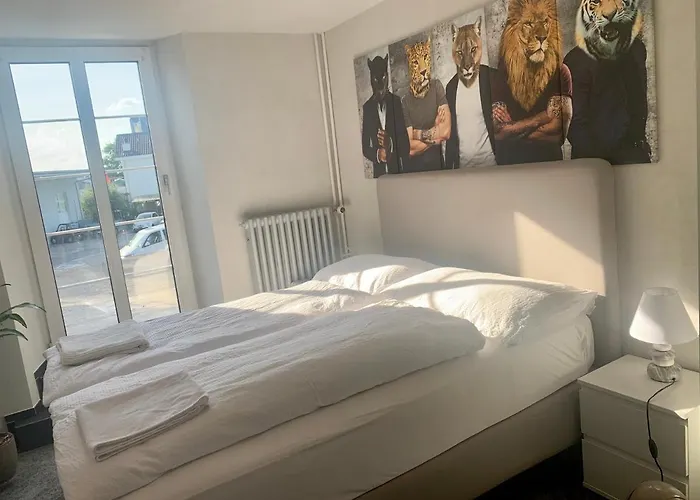 Swiss Hotel Krummen Eich Pratteln Free Parking