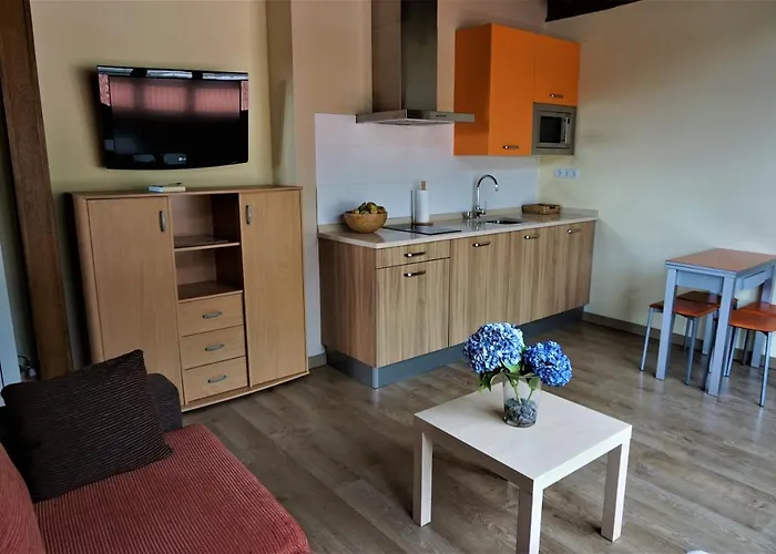 Apartamentos La Playina