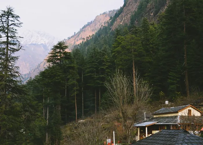 The Hillside