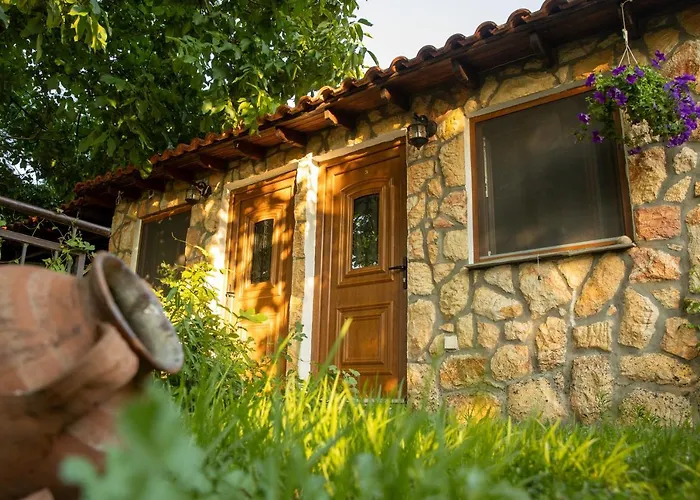 Alekas Studios