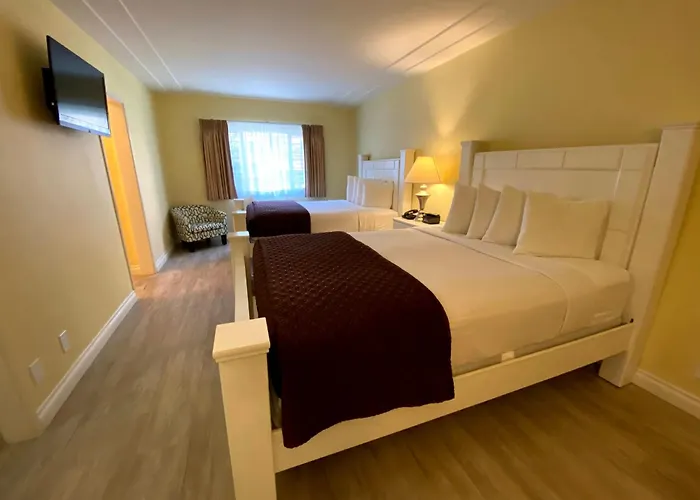 Hollywood Celebrity Hotel